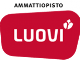 Ammattiopisto Luovi