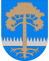 Kankaanpään kaupunki