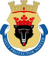 Porin kaupunki