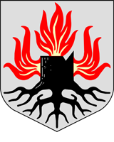 Someron kaupunki