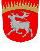 Kuusamon kaupunki