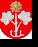 Muuramen kunta