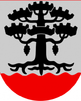 Petäjäveden kunta