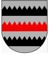 Saarijärven kaupunki
